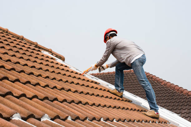 Roof Coating Services in Ladd, IL